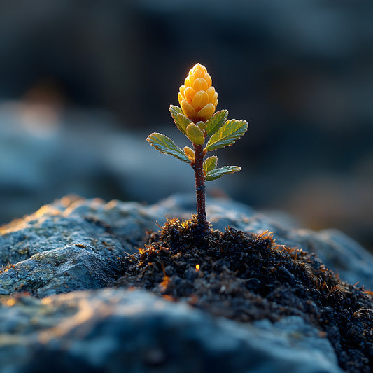 How to work with desire